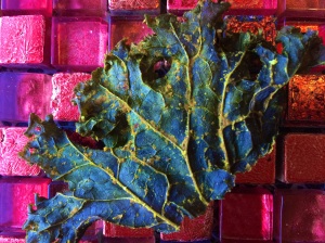 turmeric kale chip